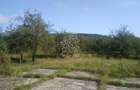 Teren 1500 mp - pretabil cabana/investitie - Zona Valea Rusului - 4