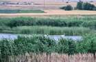 Pensiune turistica de vanzare in Corbu vedere lac afacere la cheie - 36