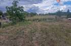 Teren intravilan de 1493 mp cu utilitati - Ianova - 8