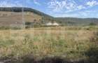 Teren intravila de vanzare, 5.595 mp, zona Ortelec - 1