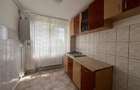 Apartament 2 camere Babes