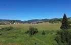 Teren in Bucovina! La Munte! De vanzare! 0727817187 - 10