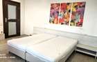 Apartament 2 camere de inchiriat , ultracentral str.Crisanei! - 7