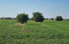 Teren intravilan 2.000 mp, două loturi construibile – Darvari, Ciorogârla - 15