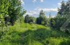 11,5 ha teren extravilan pe Trans Apuseana – cu izvor și curent electric - 2