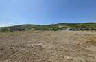 Teren intravilan industrial 18.157 mp Tomesti – COMISION 0% - 3
