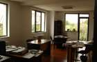 spatiu comercial(birouri,depozit,locuinta,garaj,2 curti) - 4