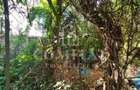 Apartament 2 camere | Decomandat | Zona The Office