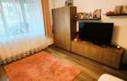 Apartament de vânzare, 2 camere, 48 mp, Gheorgheni zona Parcul Detunata - 2