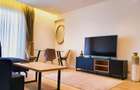 Apartament superb 2 camere One Herăstrău Plaza, parcare, balcon - Aviatiei - 4