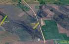 Nicolint, 2 Terenuri Extravilane, Arabil, 1.45 Hectare - 4