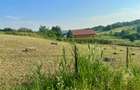Teren intravilan 1529mp Valea Lupului zona de case la 1,3km de europeana - 5