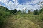 Teren intravilan, 3694 mp., zona Primaria Bocsa, COMISION ZERO% PT. CUMPARATOR. - 8
