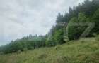 Teren Brasov , Dumbravita ,intravilan 680 mp pretabil casa sau casa de vacanta - 4