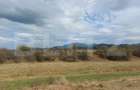 Teren de vanzare in Rasnov zona Glejerie, 10.000 mp - 7