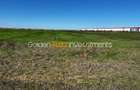 Teren de Vânzare Autorizat – Chitila | 23.600 mp | D: 85 m | - 6