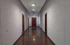 Birouri situate ultracentral, preturi excelente - 2