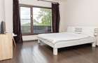 Vilă 5 dormitoare, 4 băi, 2 248mp teren, piscină. Preț: 229 000 E. - 33