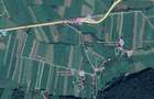 Teren 5886 mp In Bucovina - Bucsoaia! De Vanzare! 0727817187 - 15