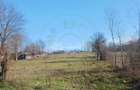 Teren intravilan 6500 mp- Gliganu de Sus - Rociu - 1