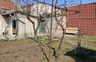 CASA 4 CAMERE - BRATIANU - 9
