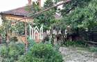 Casa 4 camere | 100 MPU | Gradina | Acces Auto | Terezian - 4