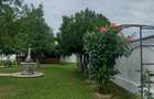 Snagov- Gruiu- Santul Floresti -Proprietate cu stil pentru oameni gospodari! - 5
