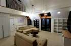 Imobilstar vinde penthouse finisat cu chirias - zona Papiu - 9