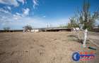 ID 7905 Oportunitate investiție agro-industrială - EXCLUSIVITATE