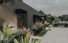 Spatiu comercial de inchiriat - 2