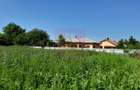 MOVILITA (IL) - SE INCHIRIAZA TEREN LANGA PROFI CU 0.5 EUR/MP/LUNA - 10