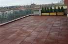 Luxury Penthouse for Rent - 4