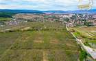 Teren extravilan, 6.510mp, Simeria, Sfantu Gheorghe - 4