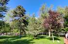 Tineretului parc| 2 Camere | Pet friendly |Disponibil imediat | Parcare - 7