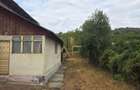 Casă bătrânească+Teren intravilan de vânzare(1970mp) la 20min de Bacău - 3