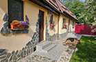 Vand casa 3 camere ARIUSD - 10