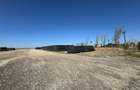 Teren extravilan de vânzare – Căteasca, Argeș | 27.201 mp | Deschidere 58,55 m - 3