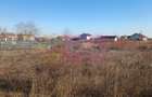 Săbăreni, teren intravilan construibil, cu utilităti in apropiere - 6