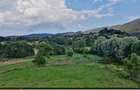 Investitie teren generos 3021 m limita intravilan, Via Transilvanica, Sinca Noua - 9
