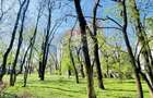 Inchiriez apartament str. Barbu Stefanescu Delavrancea Kiseleff - 15
