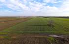 Teren Investitional 1,24 ha Com Berceni | deschidere 42ml | #CG28 - 1