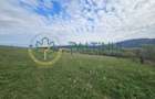 Teren de vanzare ,Tocile, Sibiu, case de vacanta si locuinte - 9