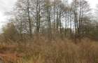 Teren intravilan - 2.740 mp, Predelut - 4
