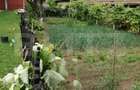Casa off-grid 5 camere Sangatin judetul Sibiu - 7