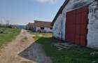 Fermă de vânzare 8 ha – Balș, județul Olt - 6