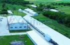Hala de vanzare cu exclusivitate, la 24 km de Oradea, in Salard, Bihor - 3