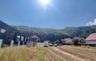 Teren Intravilan Bunloc - 8