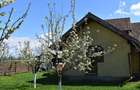 Cabana si constructii agroturistice in Codlea, Brasov - 3