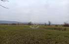 Teren 19611 mp (1,96 Ha)-ideal agricultura, investitie-Zona Aerodrom - 3