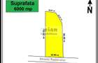 Corbeanca - Padure Petresti, 6000 Mp, Teren Unic, 52 Deschidere, Utili - 1